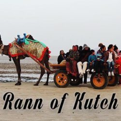 Rann of Kutch Gurajat