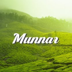 Munnar, Kerala